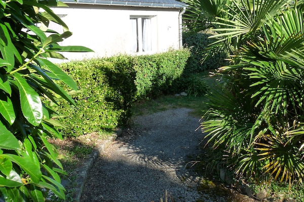 L'arrivée par la jardin.