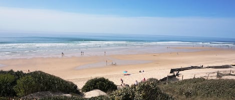 Vlak bij het strand