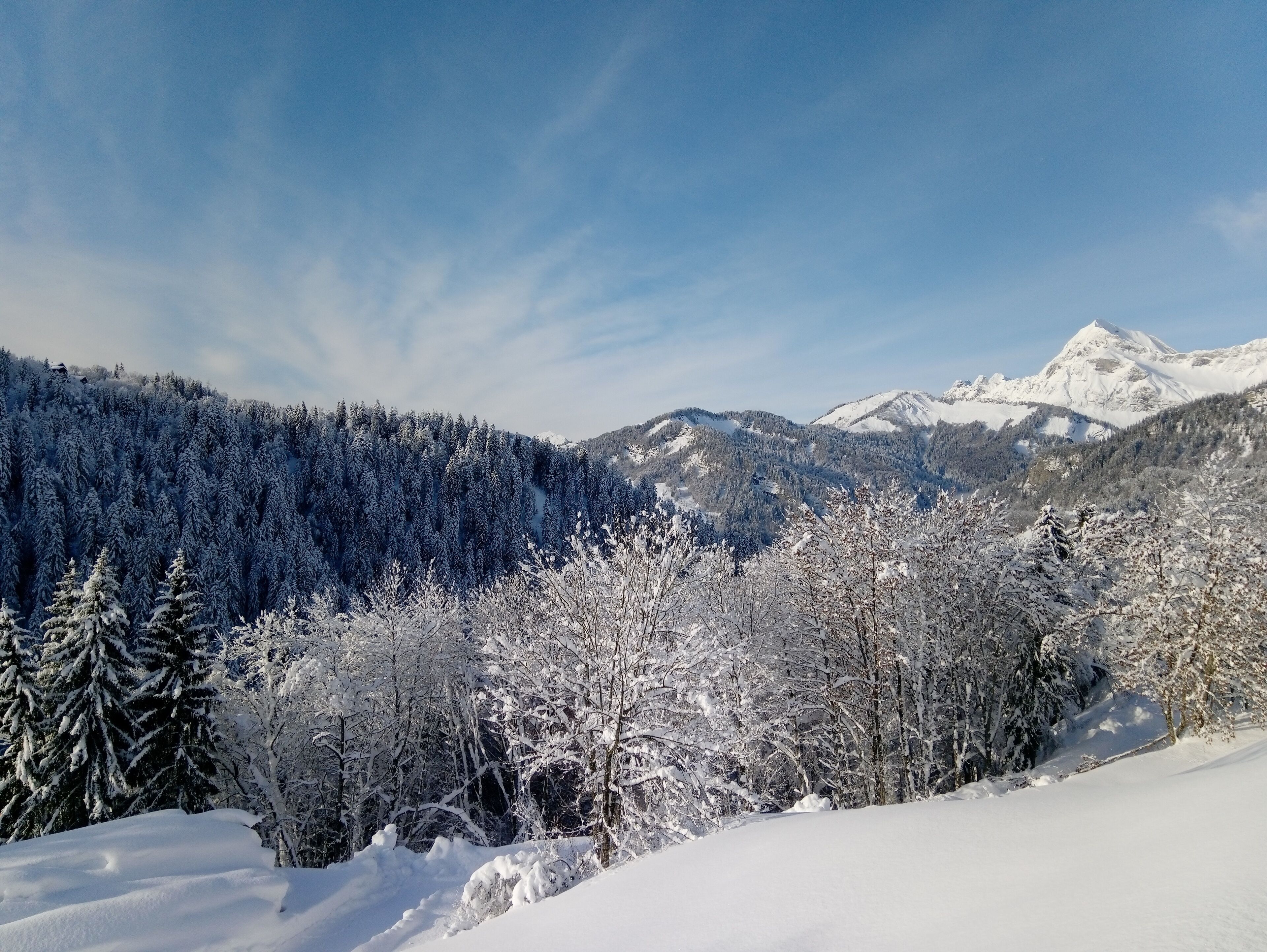 Un paysage montagneux enneigé, avec de vastes forêts et un sommet imposant.