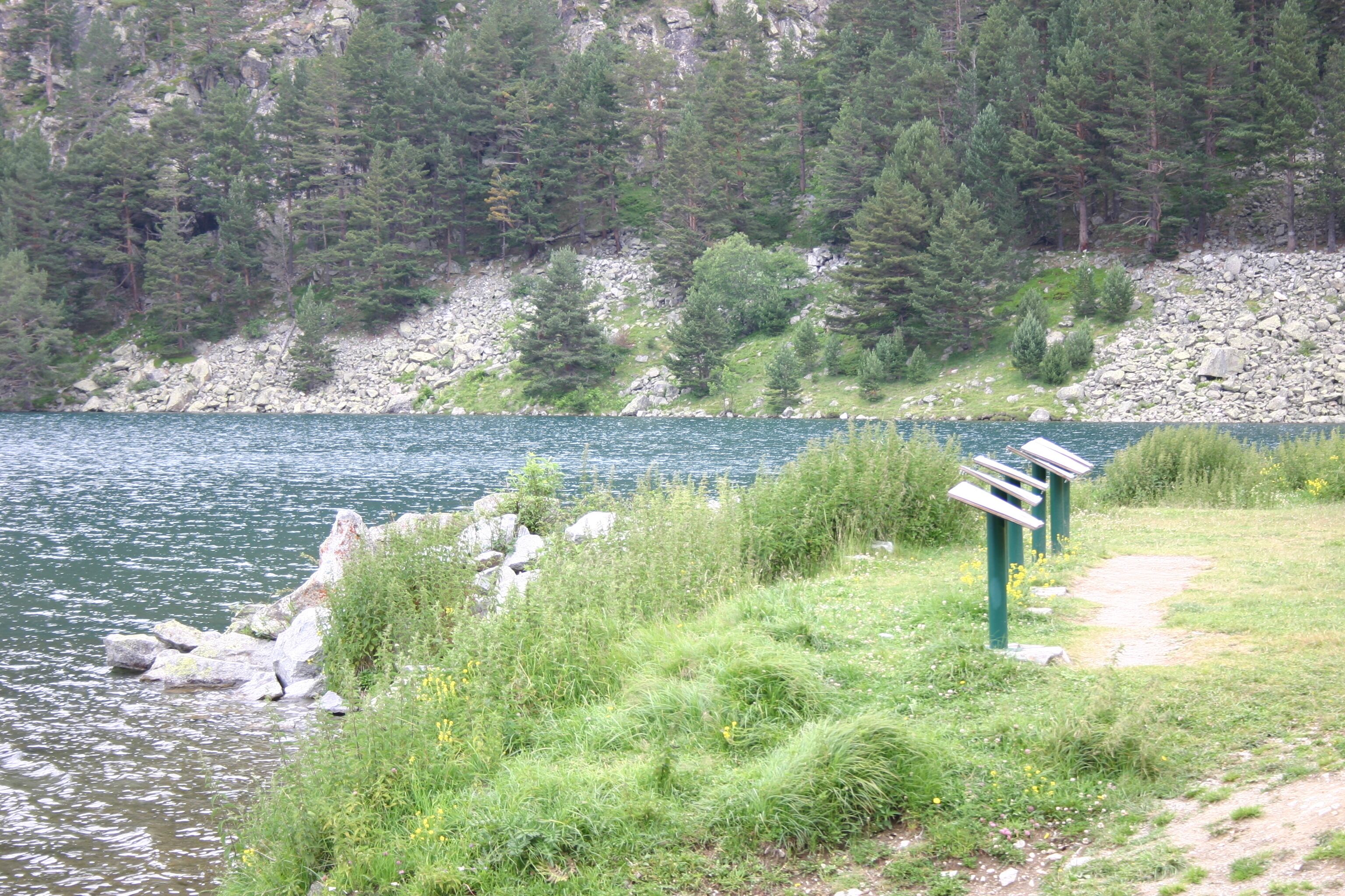 Un paysage naturel comprenant un lac, une rive rocheuse et une forêt dense.