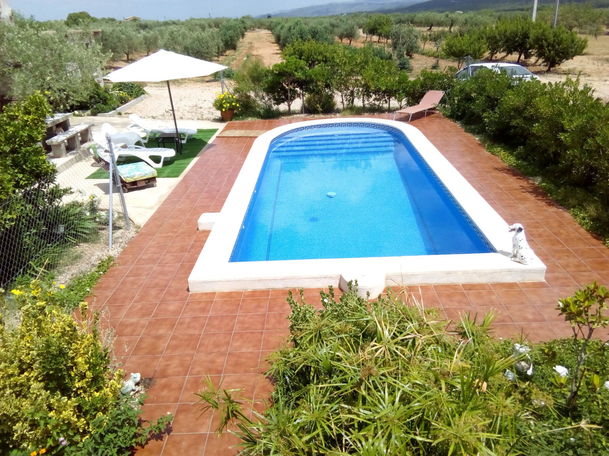 A rectangular swimming pool with a white border, surrounded by a tiled patio. There are lounge chairs and a small table with a white umbrella.