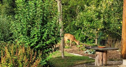 Ti Bihan Ă  Pors Jaffrennou