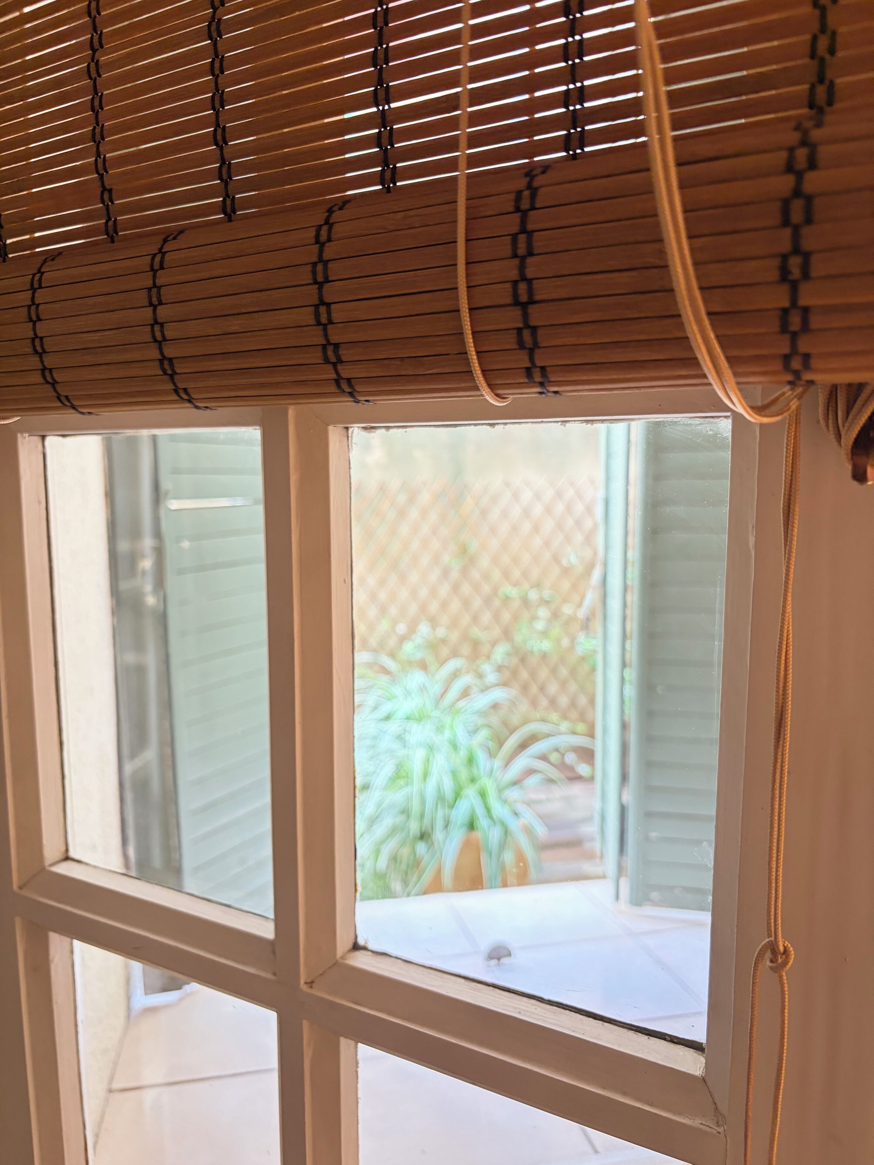 A window with blinds, a view of a fenced outdoor area, and a potted plant.