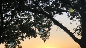 Ein Sonnenuntergang durch Baumäste, mit einem Kiesweg und einer herzförmigen Metallskulptur.
