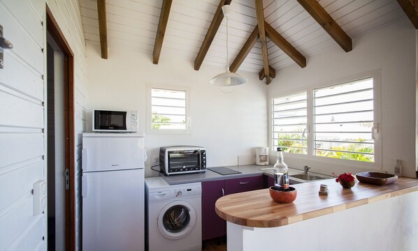 A compact kitchen with a washing machine, a microwave, a toaster, and a sink. - Country house, sea view (Saint-François)