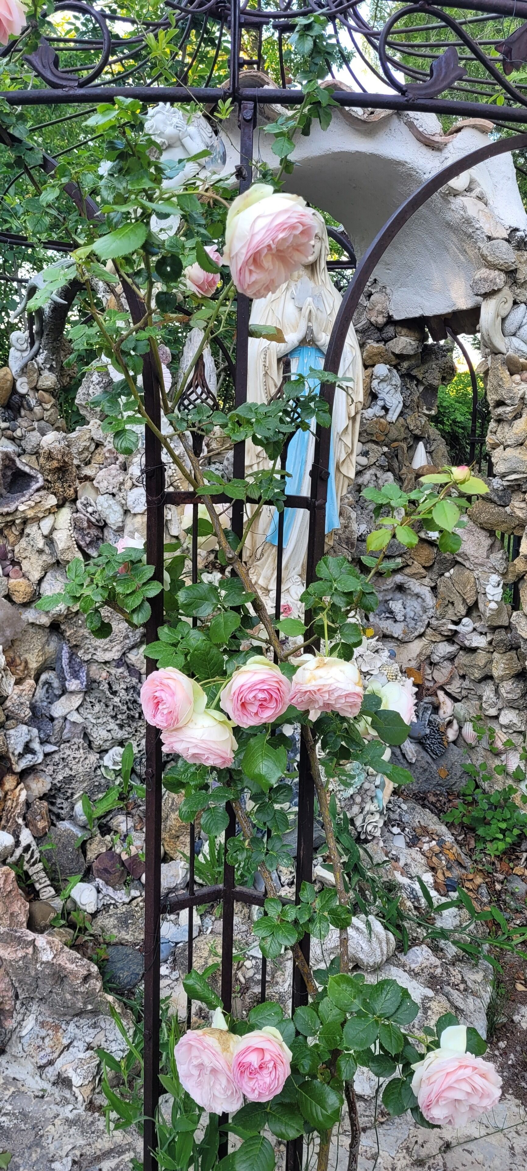 A garden with a metal trellis supporting pink roses, a statue, and a stone wall.