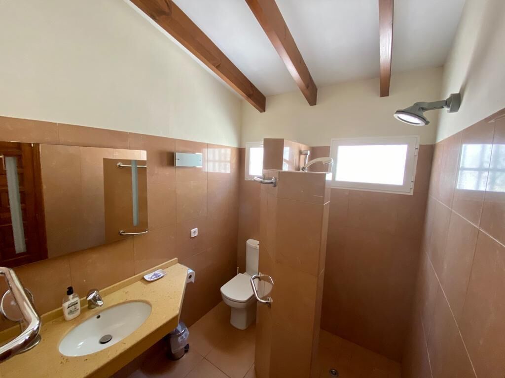 Un baño con lavamanos, inodoro y ducha.