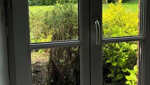 Une vue à travers une porte vitrée dotée d’une poignée en métal, donnant sur un jardin où l’on peut voir différentes plantes et, au fond, une échelle.