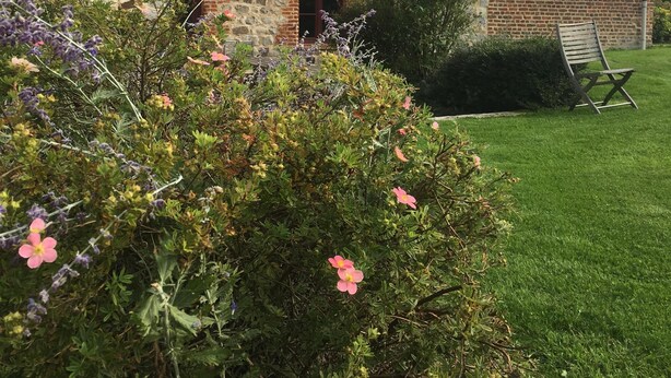 Une maison en pierre avec un toit en tuiles, une petite fenêtre et un jardin où poussent différentes plantes et fleurs.