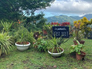 Property grounds - Cathy's cocoon (Riviere-Pilote)