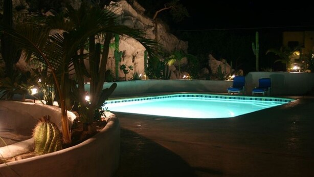 Una piscina con borde azul claro, rodeada de palmeras y cactus, con dos sillas reclinables azules a la derecha.
