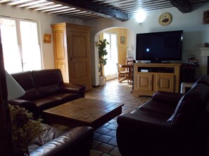 Televisión, chimenea, reproductor de DVD y tenis de mesa 