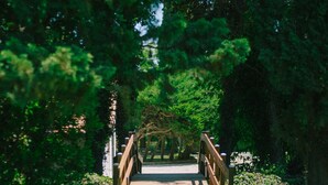 A wooden bridge in a park with a gravel path leading to it. - Charming Mas for rent by the week  (Arles)
