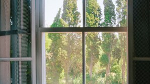 A window with a view of tall trees outside. - Charming Mas for rent by the week  (Arles)
