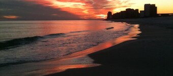 WE ARE PET FRIENDLY!