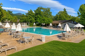 Pool - Incredible Golf Course View at Silverado (Napa)