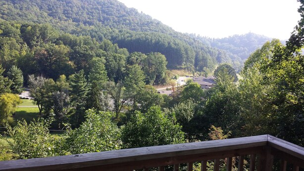 Un quartier résidentiel offrant une vue sur une maison entourée d’une forêt dense et de collines.