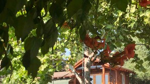 A wooden bridge leading to a brick building with a stone pool and palm trees. - TREE CABIN FOR 2🌲Unique cabin close to San Luis Obispo, Morro Bay & Paso Robles (Templeton)