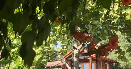 Ainutlaatuinen mökki jaettu 6 hehtaarin omaisuutta! Täydellinen Moto-harrastajille!