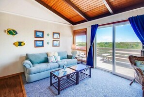 TV, DVD player, books, video library