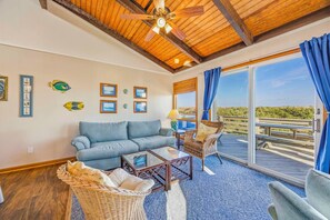 TV, DVD player, books, video library