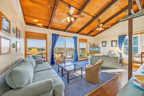 TV, DVD player, books, video library