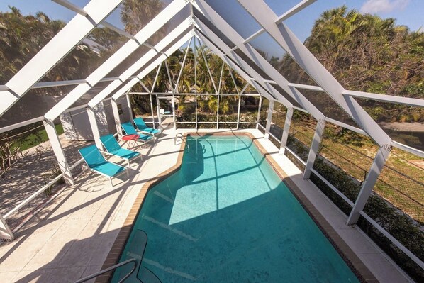 Ein Poolbereich mit Glasveranda, blauen Liegestühlen und Blick auf Palmen.