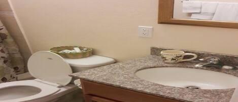 A bathroom with a toilet, sink, and mirror.