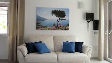 Smart TV, lettore DVD, libri, biblioteca musicale