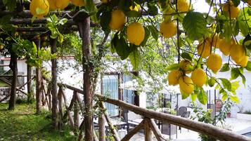 Jardines del alojamiento