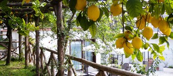 Villa Rafael - A Romantic Retreat In The Heart Of Amalfi Coast