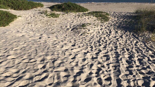 A sandy beach with footprints leading towards the ocean. - Luxurious, Newer Oceanfront, Professionally Decorated, Beautiful Condo (Cocoa Beach)