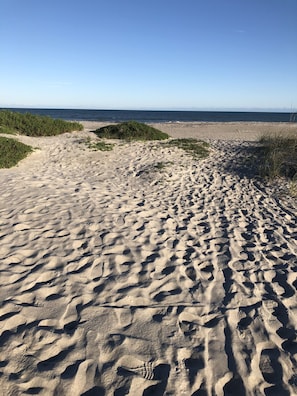 Enjoy a serene beach experience surrounded by lush greenery and the ocean.