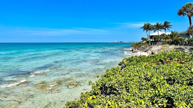 Uma praia com águas turquesa cristalinas, uma faixa de areia e vegetação exuberante.