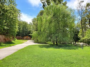 A pathway leading to a building surrounded by lush greenery and trees.