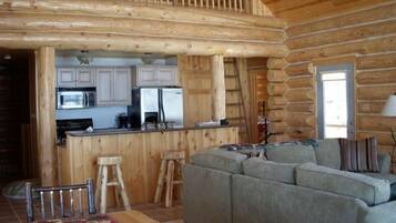Smart TV, fireplace, DVD player, video library