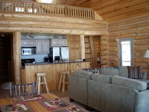 Smart TV, fireplace, DVD player, video library