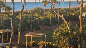 A garden with palm trees and a wooden pergola with benches.