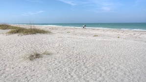 Een zanderig strand met schaarse begroeiing en een heldere lucht.
