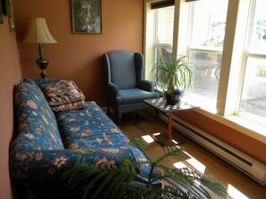 Smart TV, chimenea, reproductor de DVD, libros