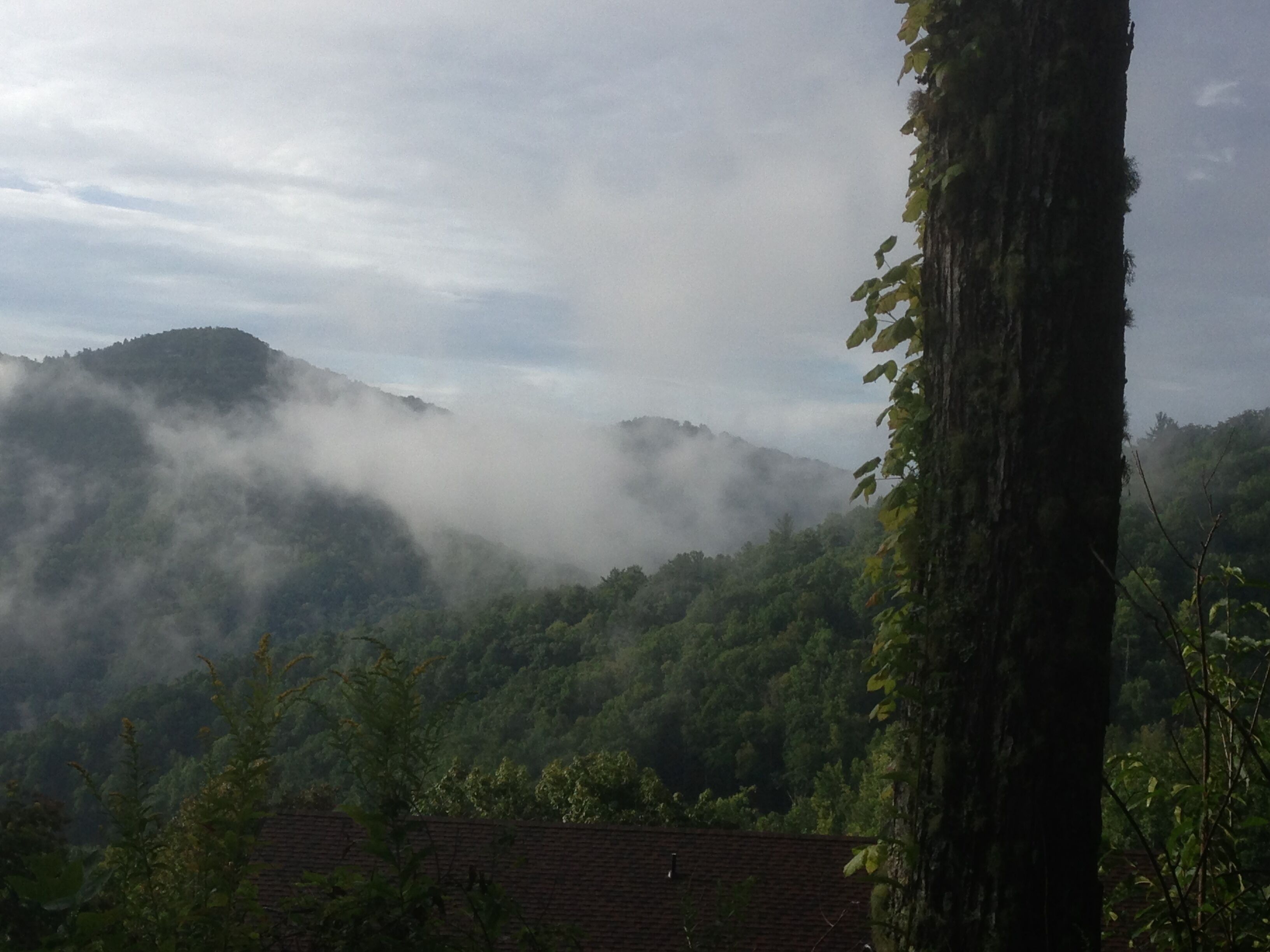 View  is on a morning walk in the neighborhood