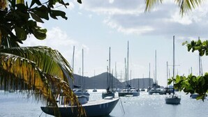 Ein Yachthafen mit mehreren angemeldeten Booten, umgeben von Palmen und einer Bergkulisse.