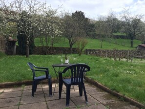 Patio View of Our Hillside Apple Orchard in Spring