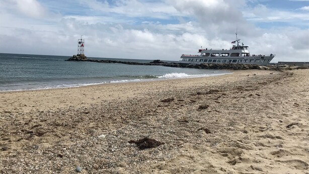 A beach with a rocky shore, a lifeguard tower, and a large boat named 'Island Queen' anchored near the shore. - Family & dog friendly; walk to beach, cliff, town, ferries, all bedrooms w/AC (Oak Bluffs)