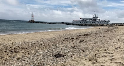 Perheystävällinen (1 koira ok); kävellä rannalle, kalliolle, kaupunkiin, lautoille