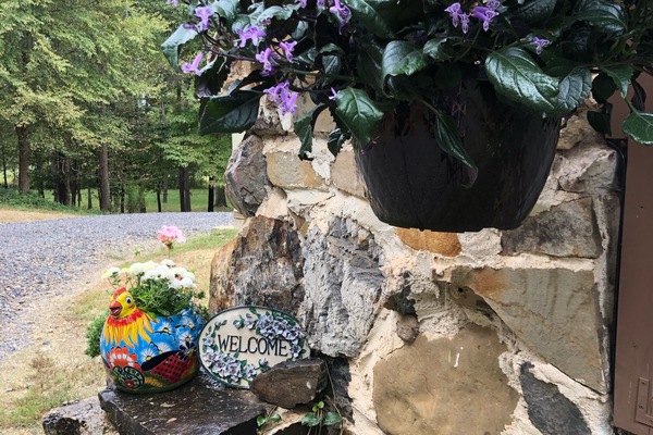 DĂ©tail de lâextĂ©rieur