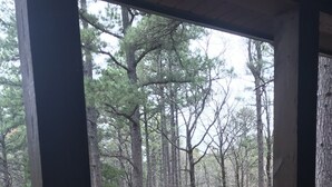 A view from a wooden deck into a forested area with tall trees and a grassy ground. - Ticket to the great outdoors! (Heavener)