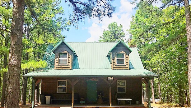 A two-story cabin with a green roof, surrounded by trees. - Ticket to the great outdoors! (Heavener)