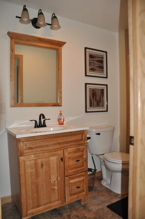 Combined shower/tub, hair dryer, soap, shampoo - FAMILY HOME ON LAKE MICHIGAMME (Michigamme)