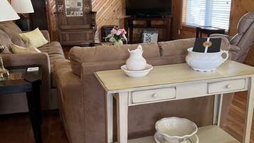 Smart TV, fireplace, books